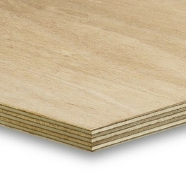 Contreplaque Cintrable Exotique B Panoflex Ep 9mm Larg 1 22m Long 2