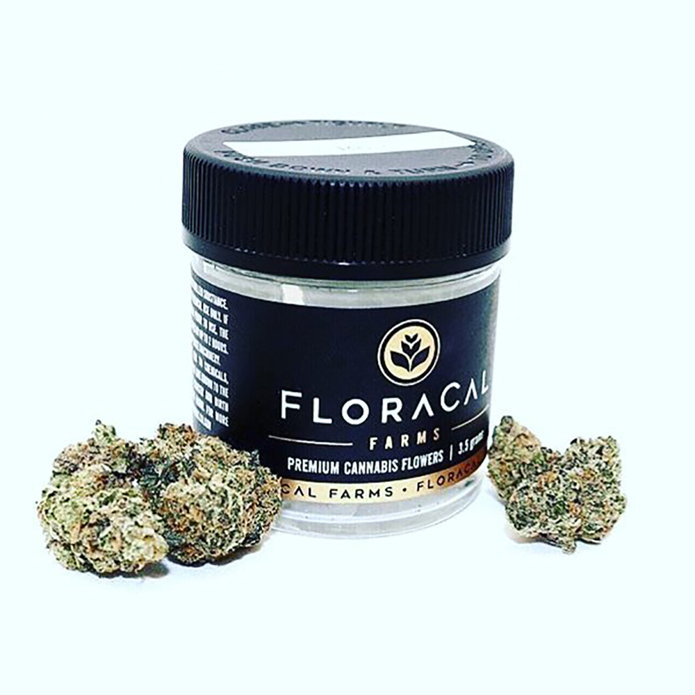 Slurri Crasher 1 FloraCal™ Jane