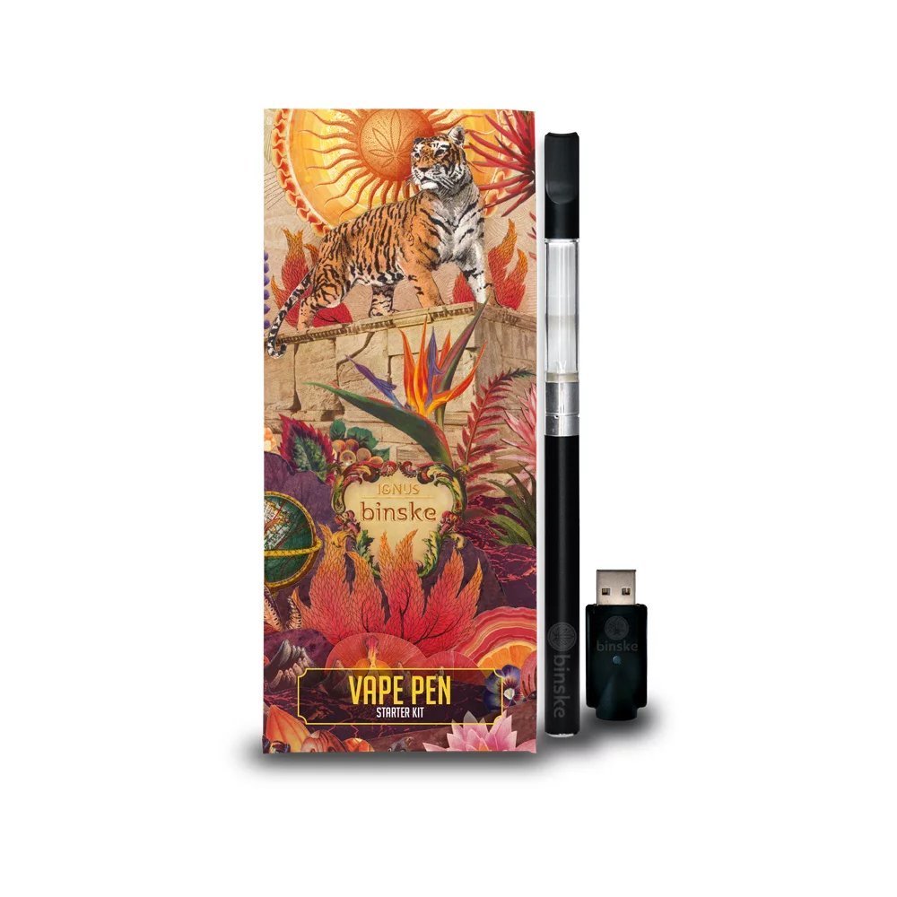 Skunk Cheese [350mg] Binske Disposable Pen Jane