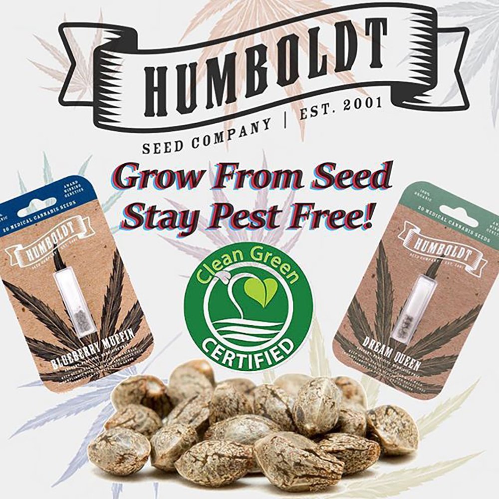Royal Highness [10pk] Humboldt Seed Company Seeds Jane