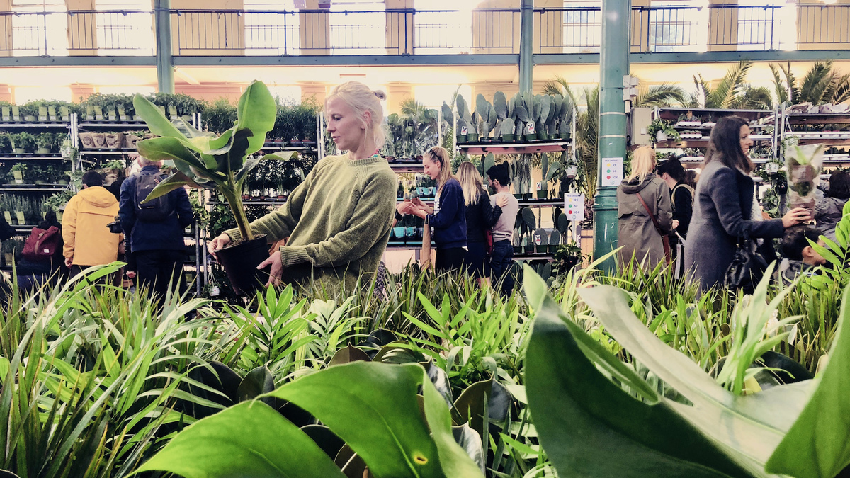 Plantes pour Tous est de retour et investit la Cour Mably