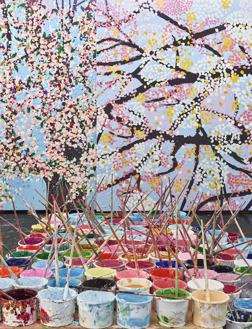 Les cerisiers en fleur de Damien Hirst débarquent à la