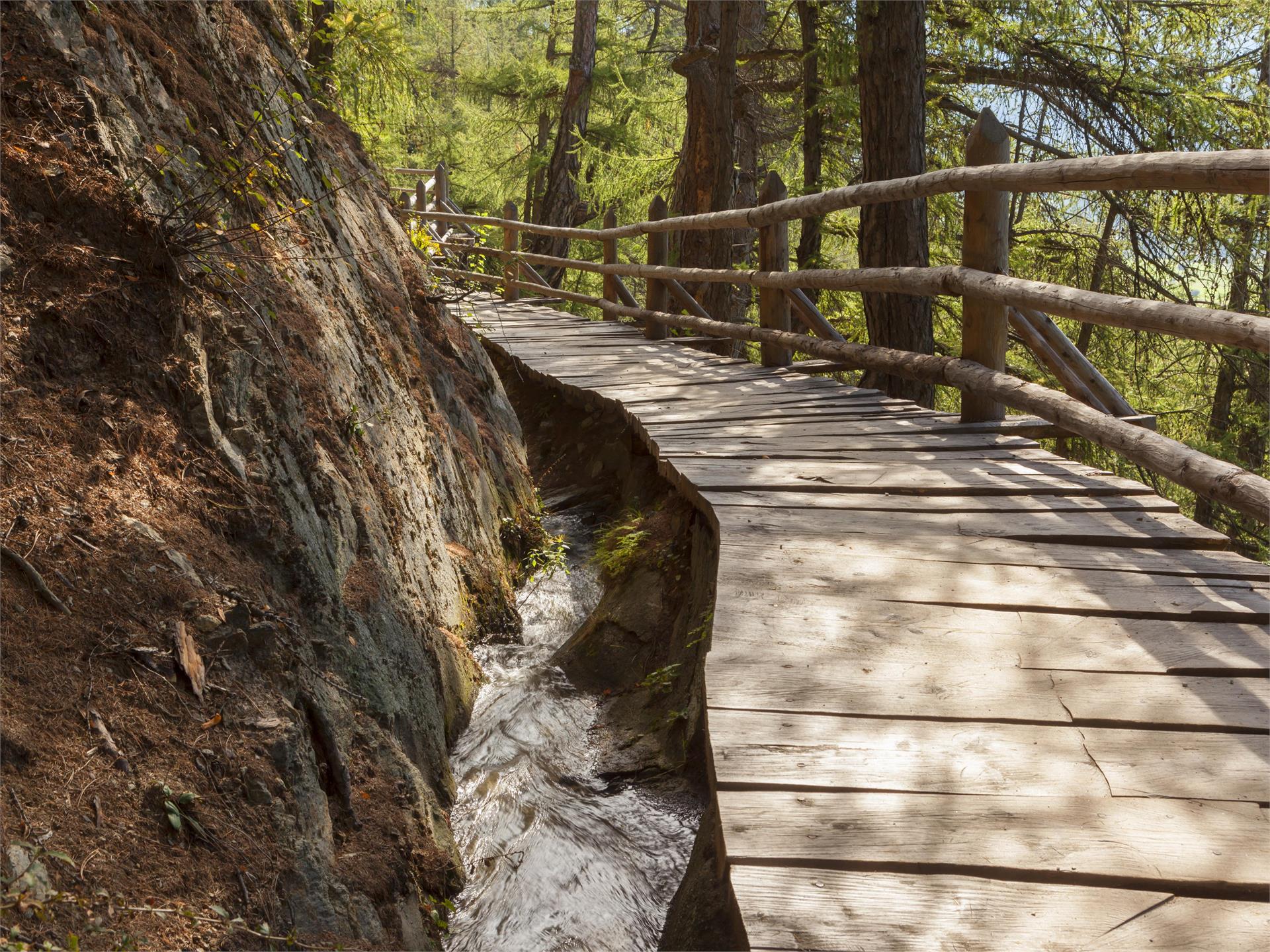 Nationalpark Wanderwege Jägersteig Wanderwege im Nationalpark Stilfserjoch in Südtirol