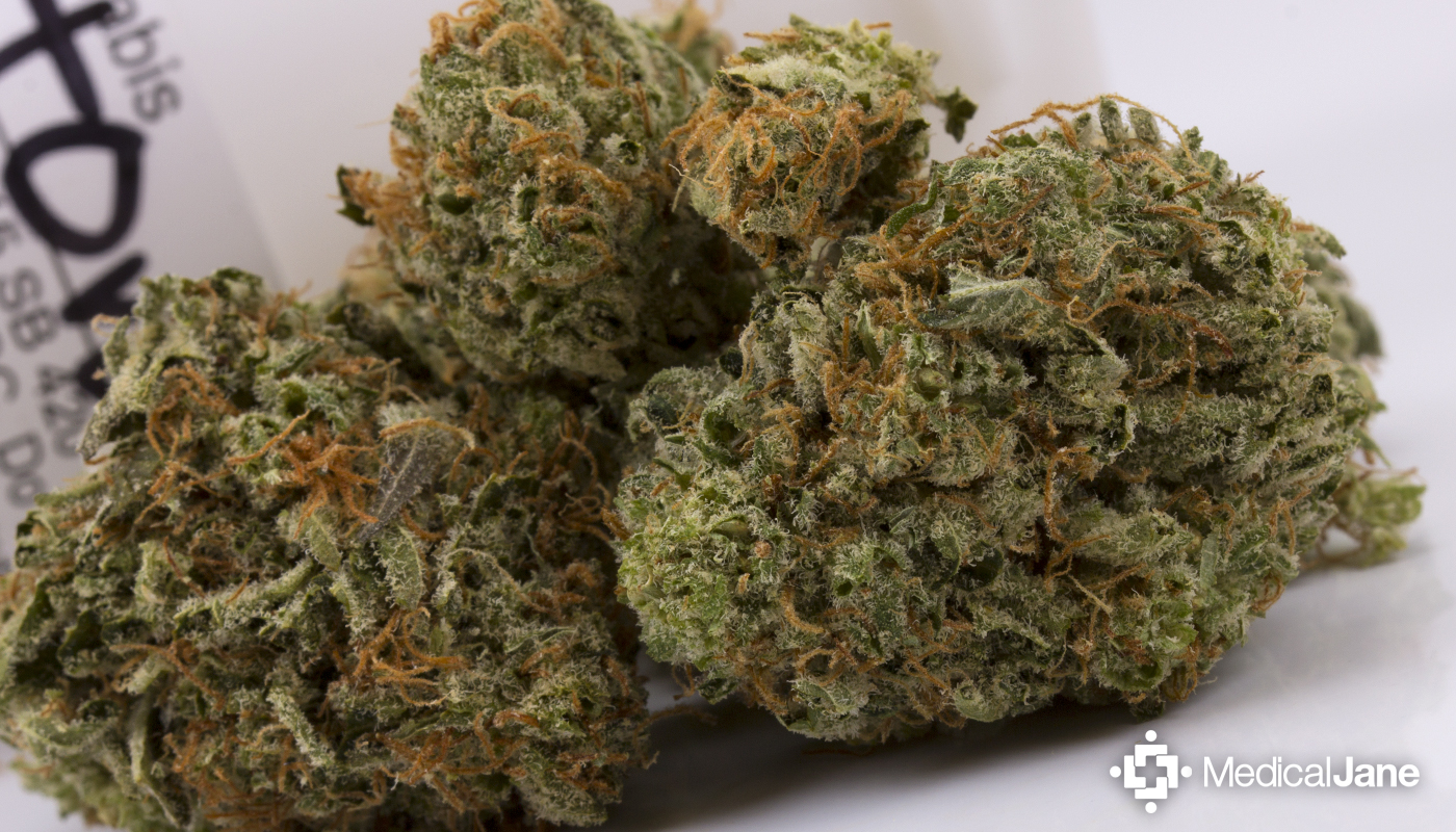 Agent Orange Marijuana Strain (Review)
