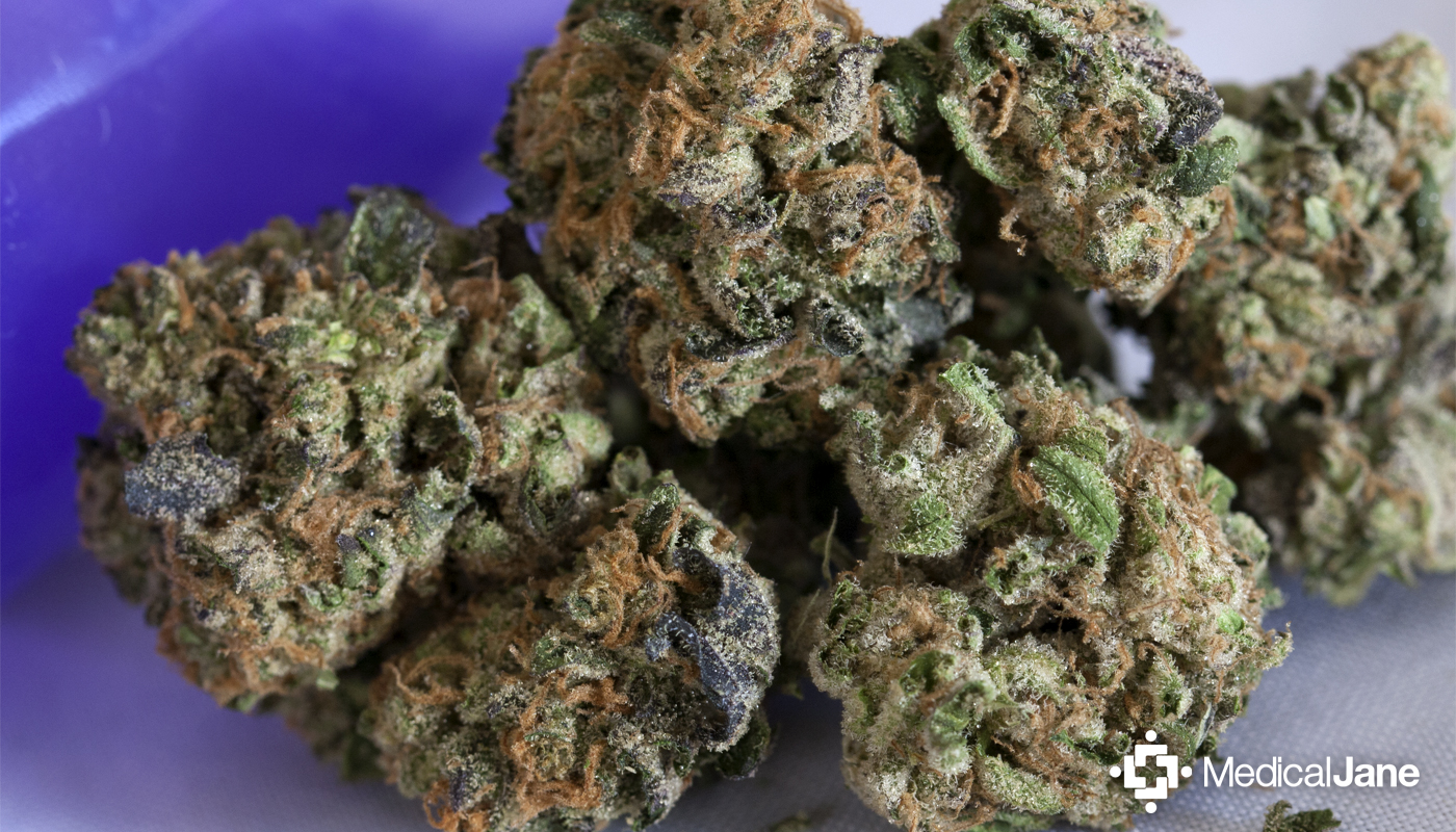 Girl Scout Cookies Marijuana Strain (Review)