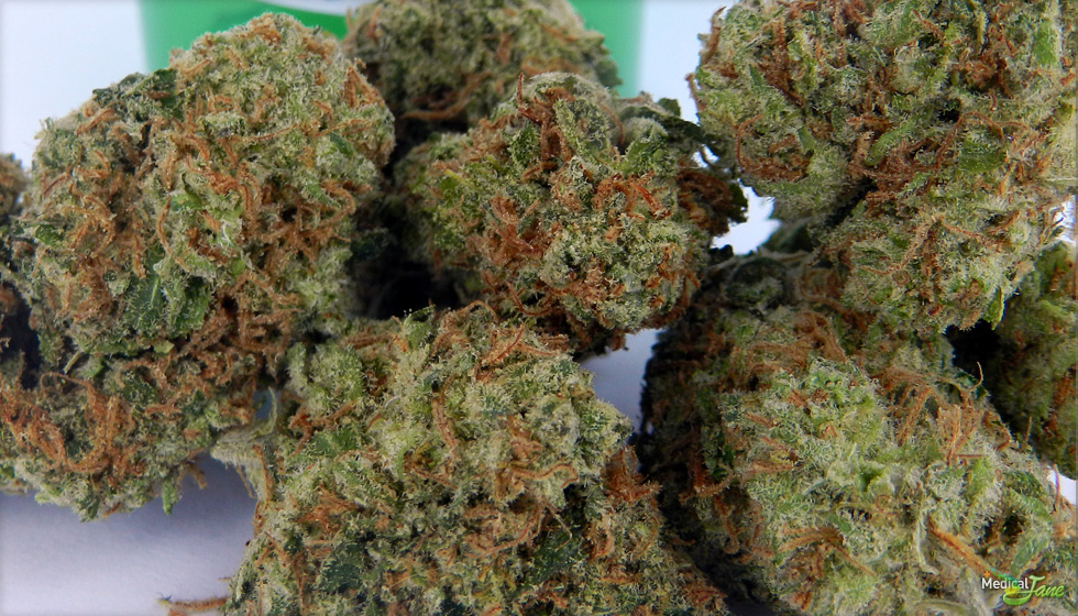 Cherry AK47 Marijuana Strain (Review)