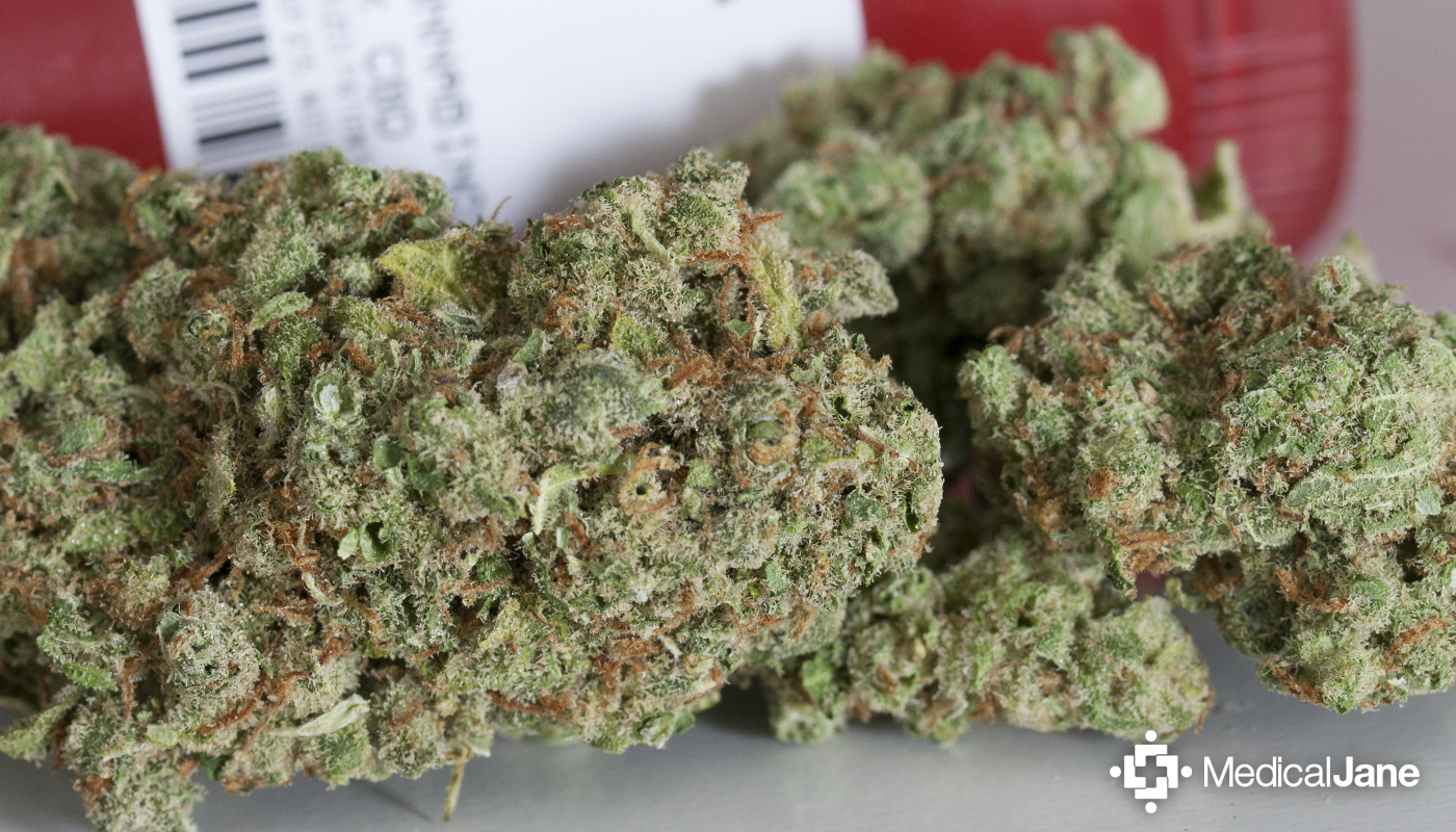 Candy Jack Strain Is A Sweet Tasting And Uplifting J1 Phenotype