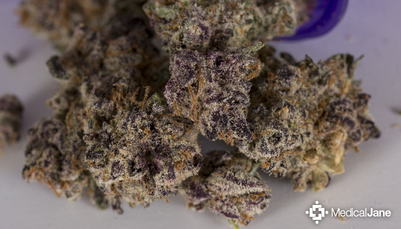 Pink Candy HD Gallery Image 5