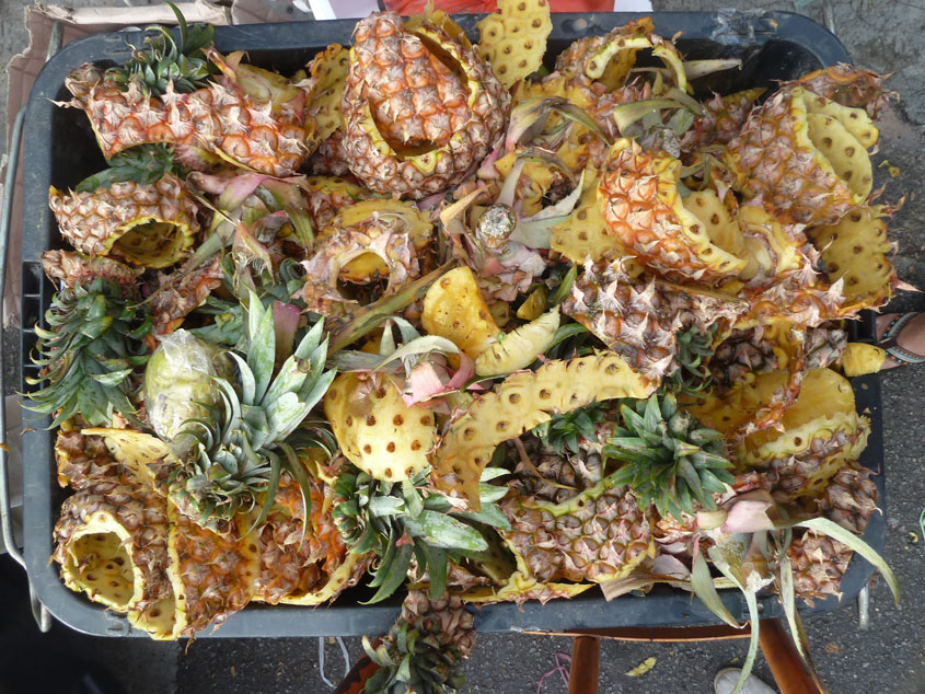 CETDEM’s Community Compost Making 2 Waste Collection