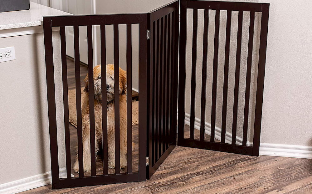 22 Best Dog Gate Options For Every Need Great Pet Care