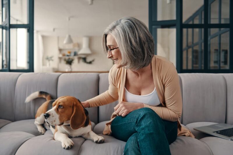 TrustedHousesitters Overview Finding a Reliable InHome Pet Sitter