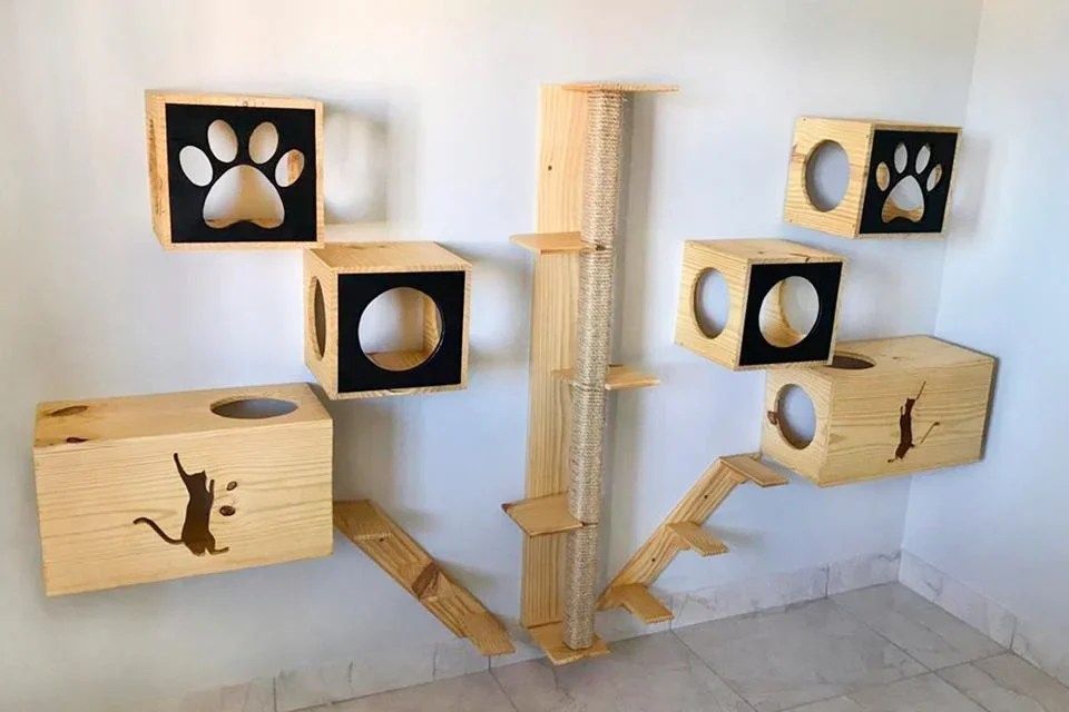 Amor por felinos marca cria móveis exclusivos para gatos Metrópoles