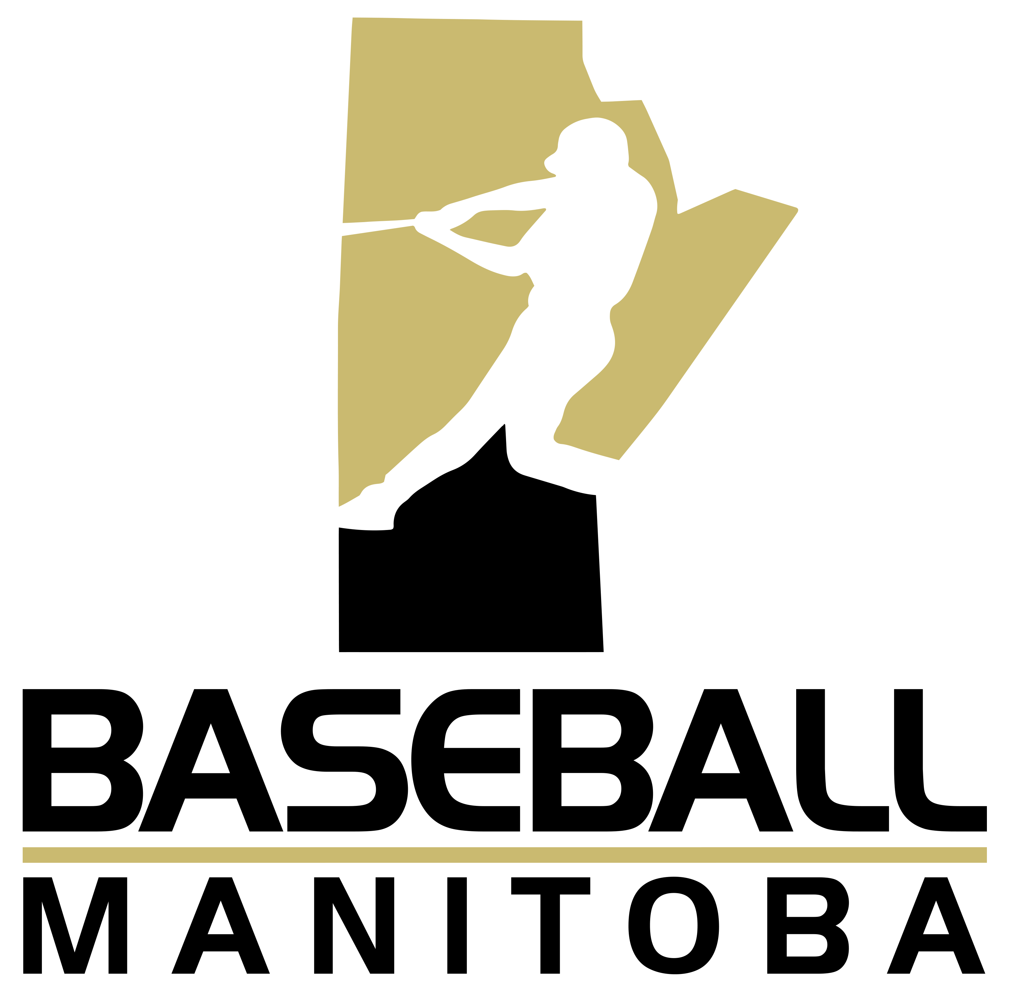 Baseball Manitoba site by RAMP InterActive