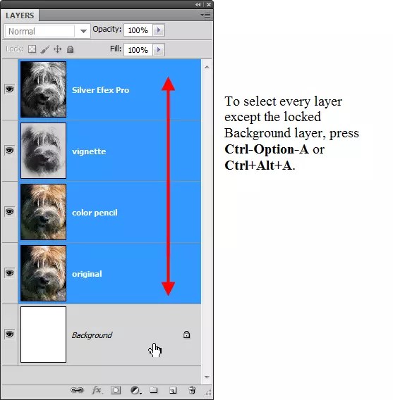 Speed Up Your Work With Layer Shortcuts — SitePoint
