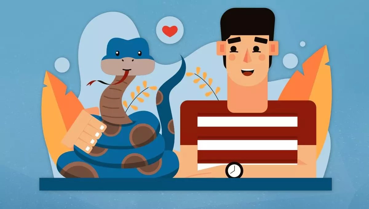 What Is Python and What Is It Used For? VedVyas