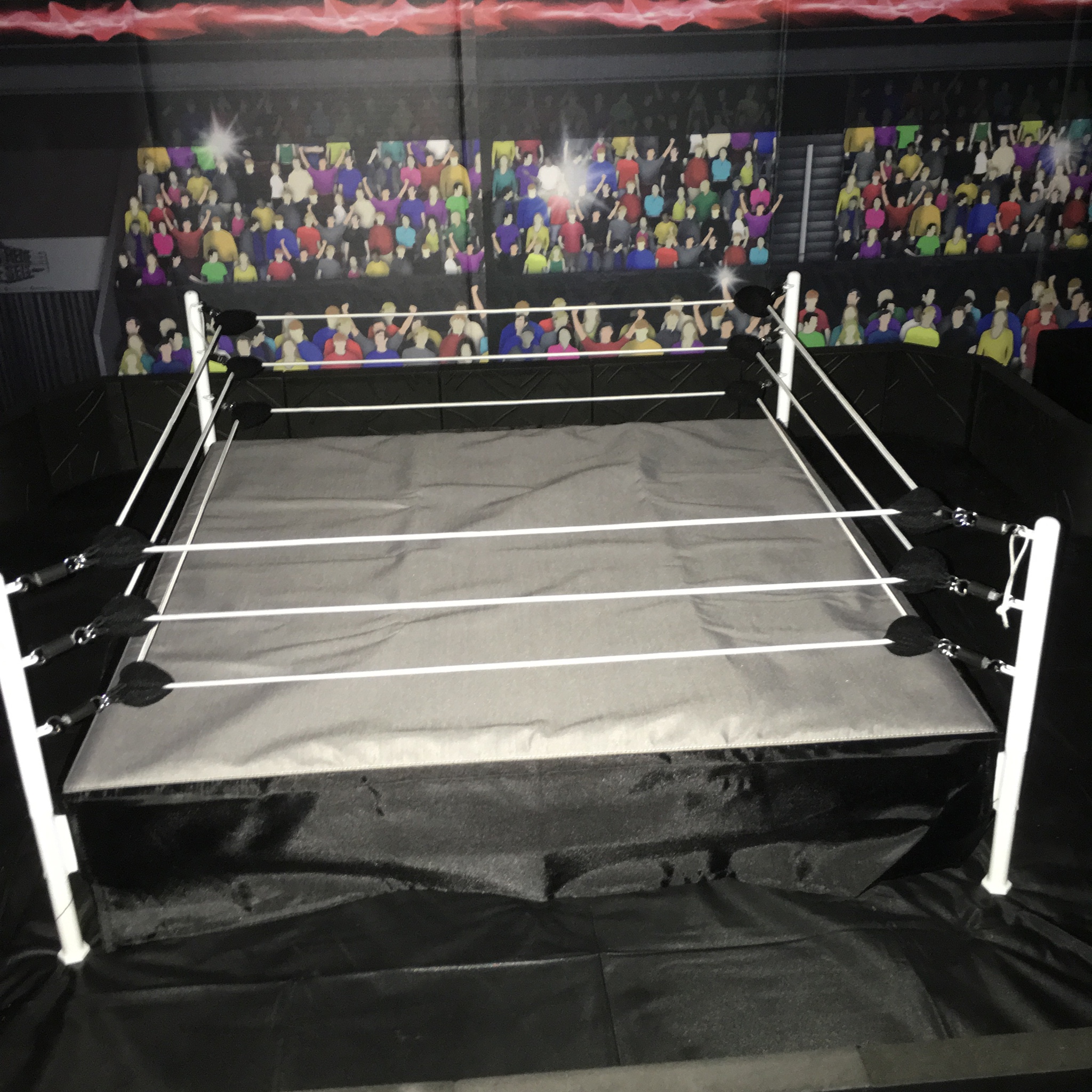 Scale Ring Mat? WWE Figure Forums