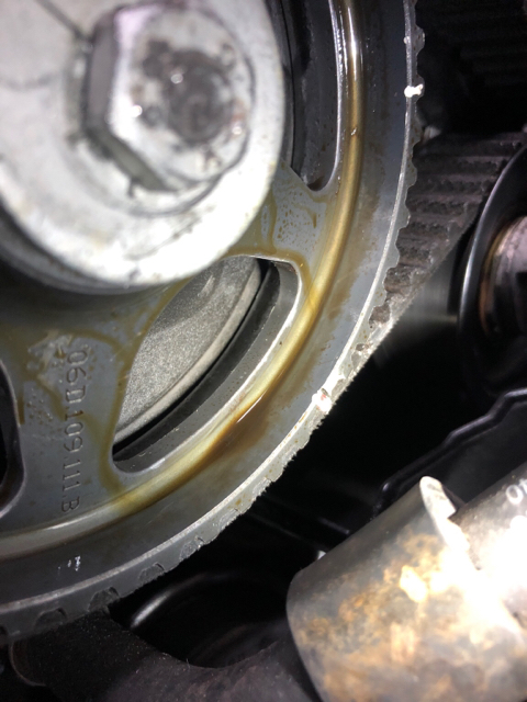 Please help Exhaust Cam seal oil leak
