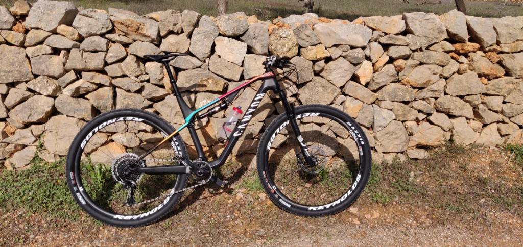 Canyon Lux 201920202021 Página 231