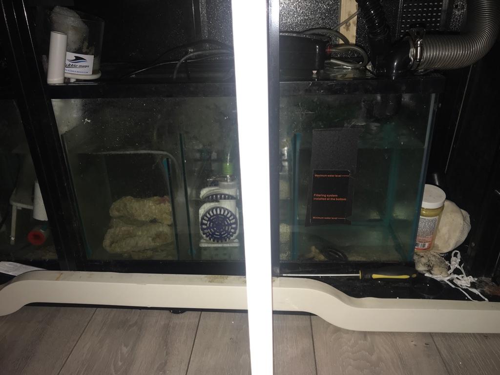 cant balance water level between sump and display tank page 1