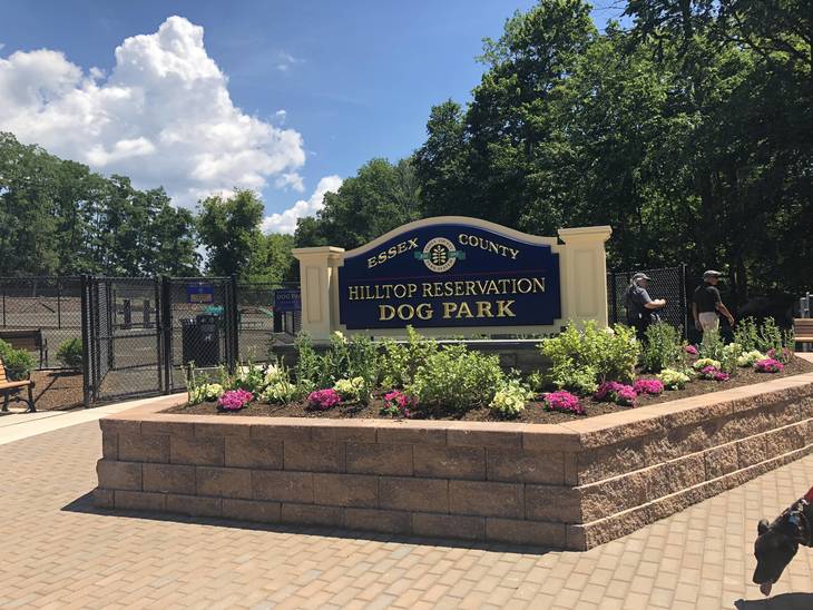 Dog Days of Summer Are Here North Caldwell Dog Park is Open TAPinto
