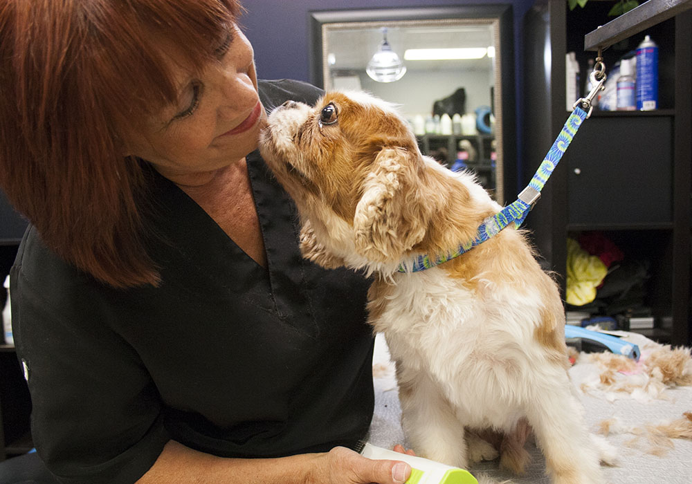 Portfolio & Pictures Tiny Tails Grooming Brooklyn, NY