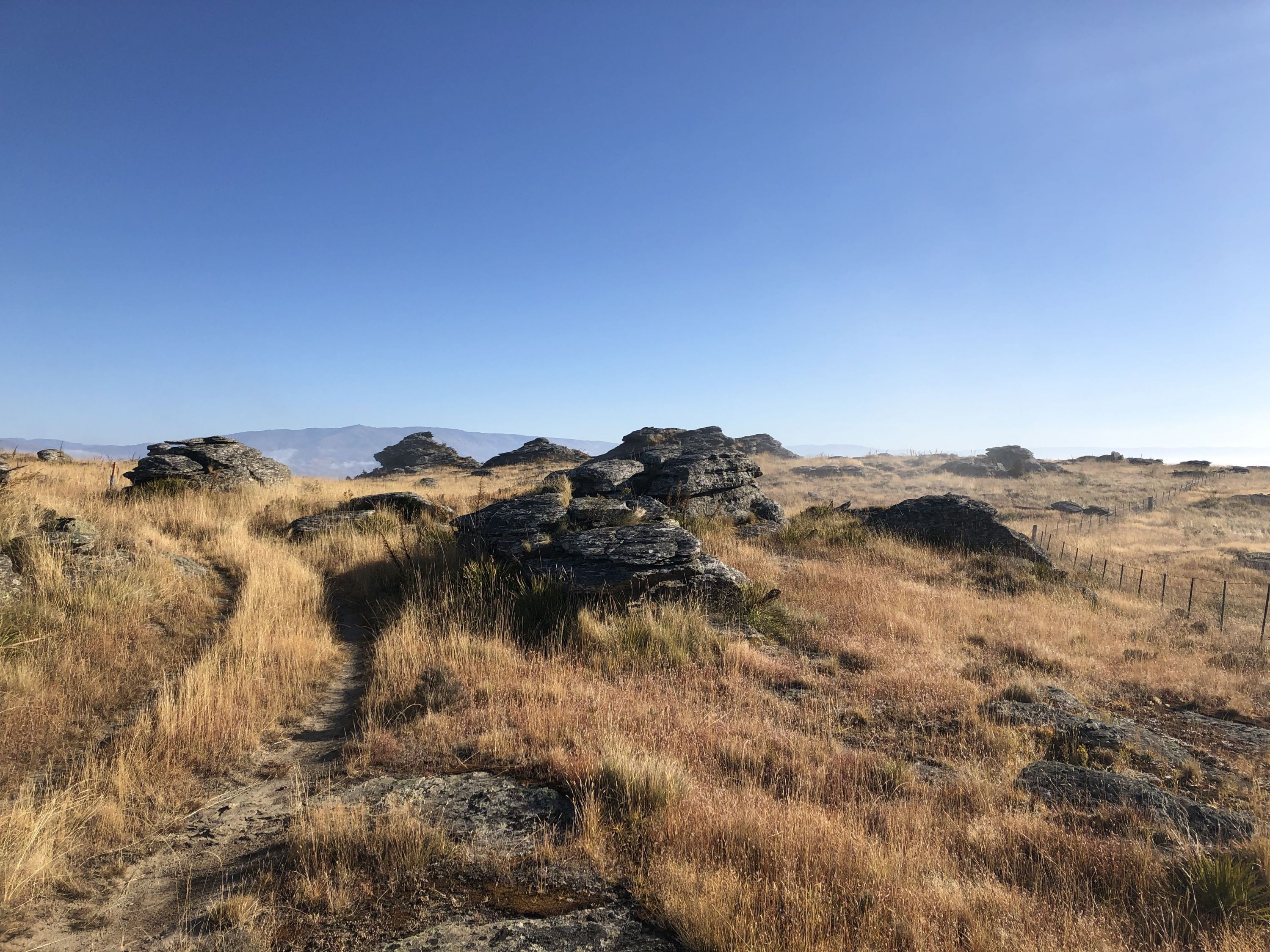 Flat Top Hill, Otago Trails Photo Gallery Wild Things