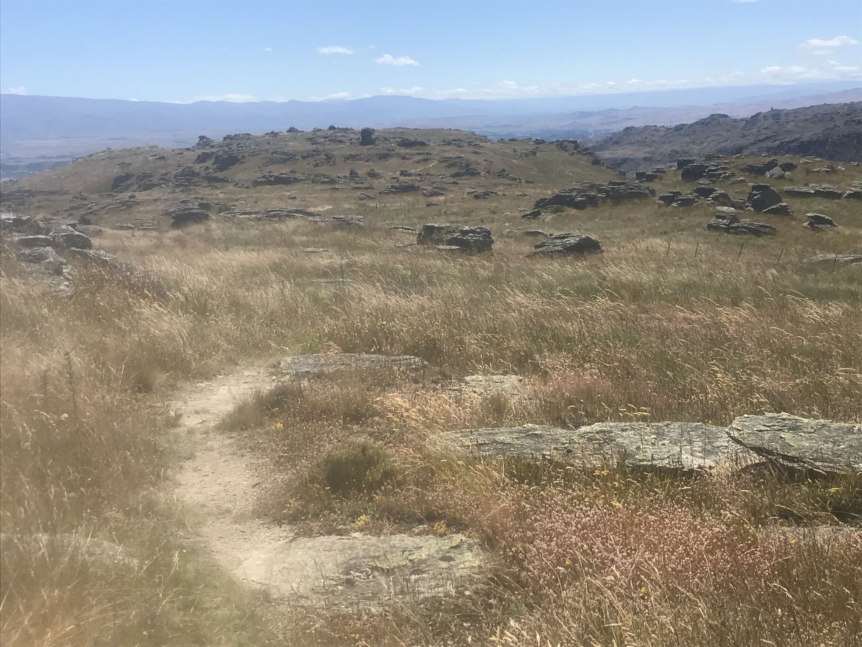 Flat Top Hill, Otago Trails Photo Gallery Wild Things