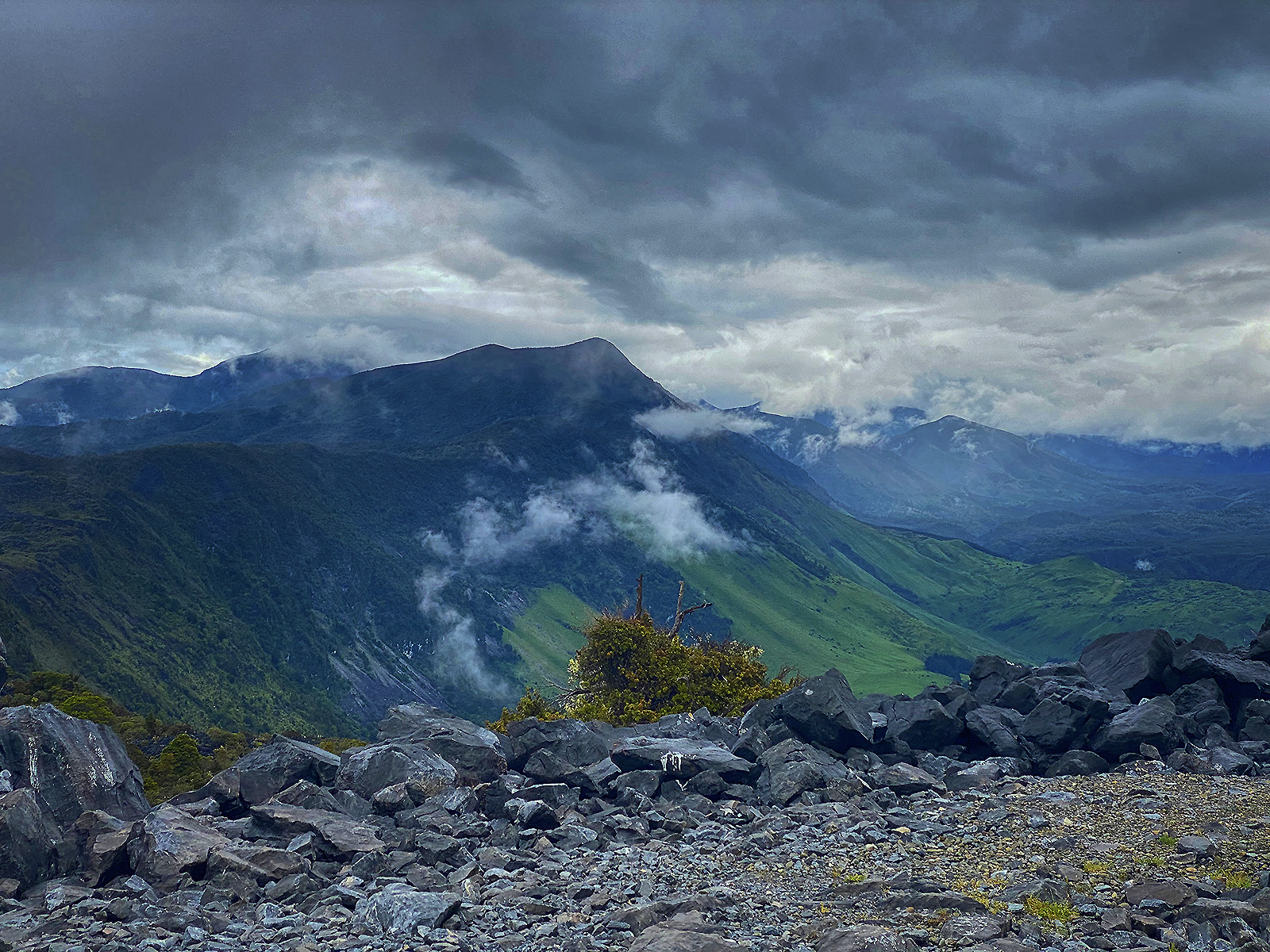 Takaka Hill Walkway, Tasman Trails Photo Gallery Wild Things