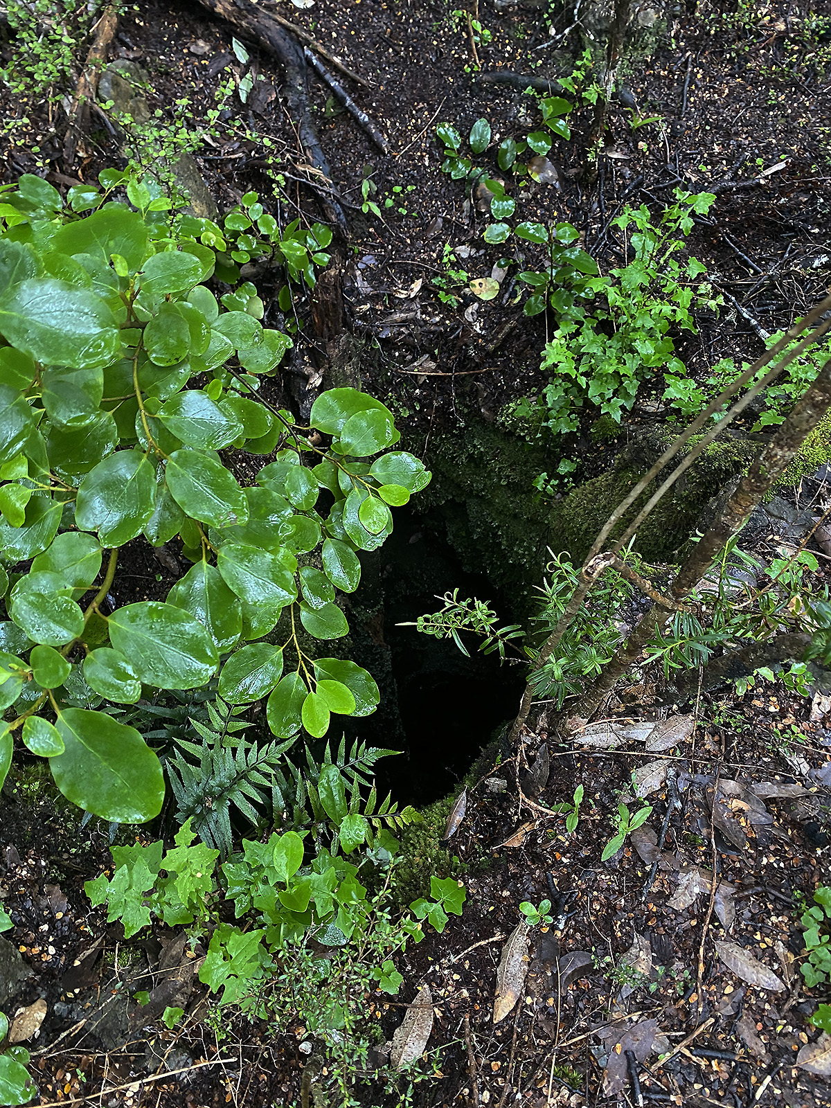 Takaka Weather Yr at Perry Montes blog