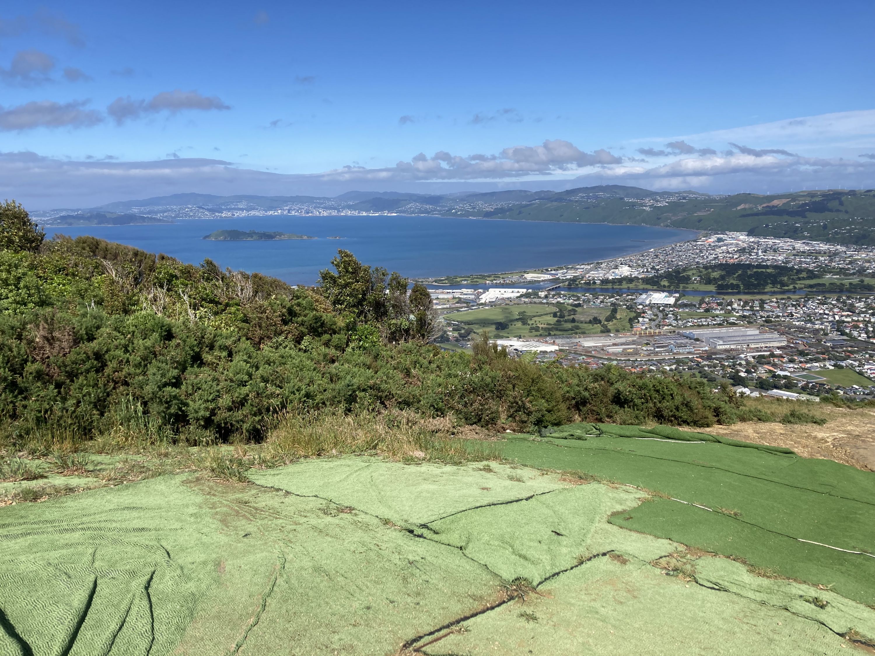 Te Whiti Firebreak Calf Burn, Wellington Trails Photo Gallery Wild