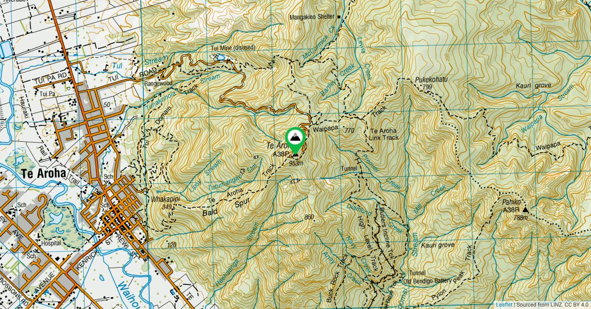 Te Aroha, Waikato Peak Directory Wild Things