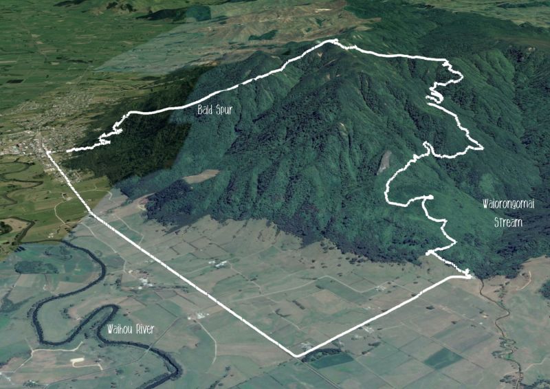 Te Aroha Summit Loop, Te Aroha Trail Run Directory Wild Things