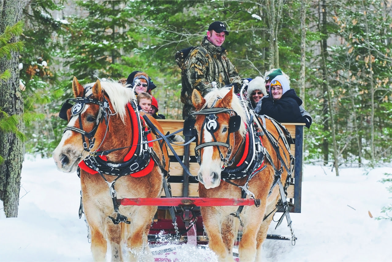 Experience the Magic of a HorseDrawn Sleigh Ride in Eagle River