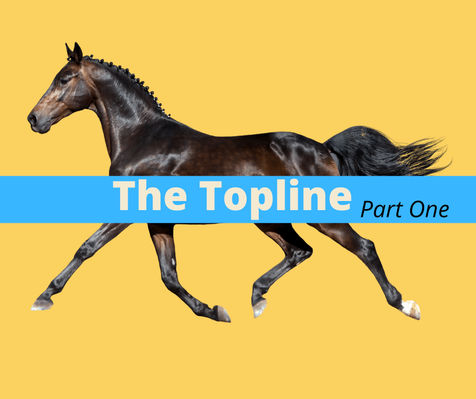 Topline Part One 4 components critical to understanding a horse’s