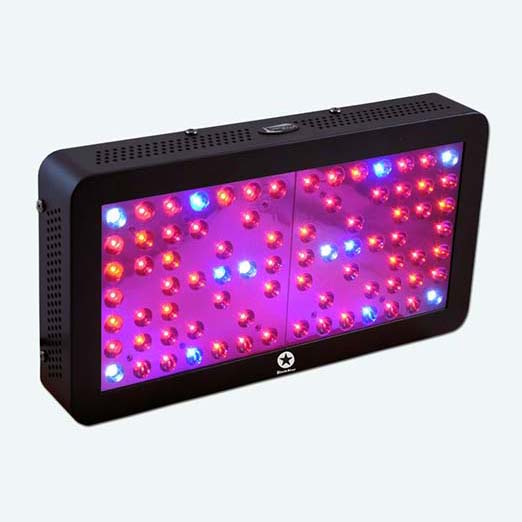 Best LED Grow Lights [Guide be an Informed Buyer]