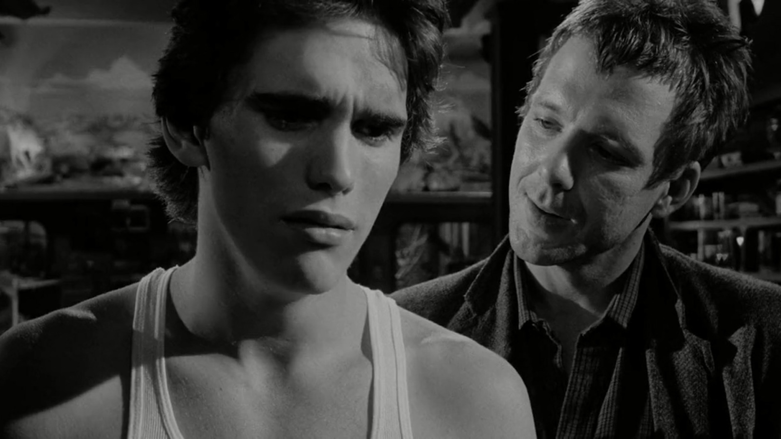 Rumble Fish The Ultimate Picture Palace
