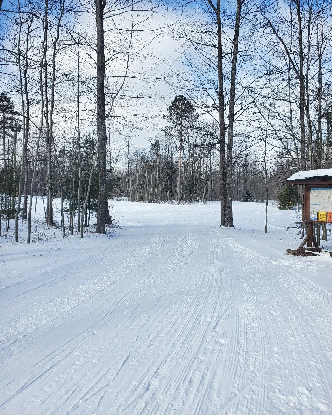 Discovering the Timeless Charm of Cross Country Skiing at the