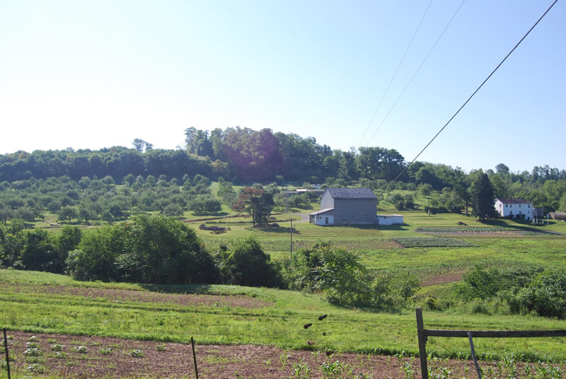 Upper Burrell Township A great place to live and work!