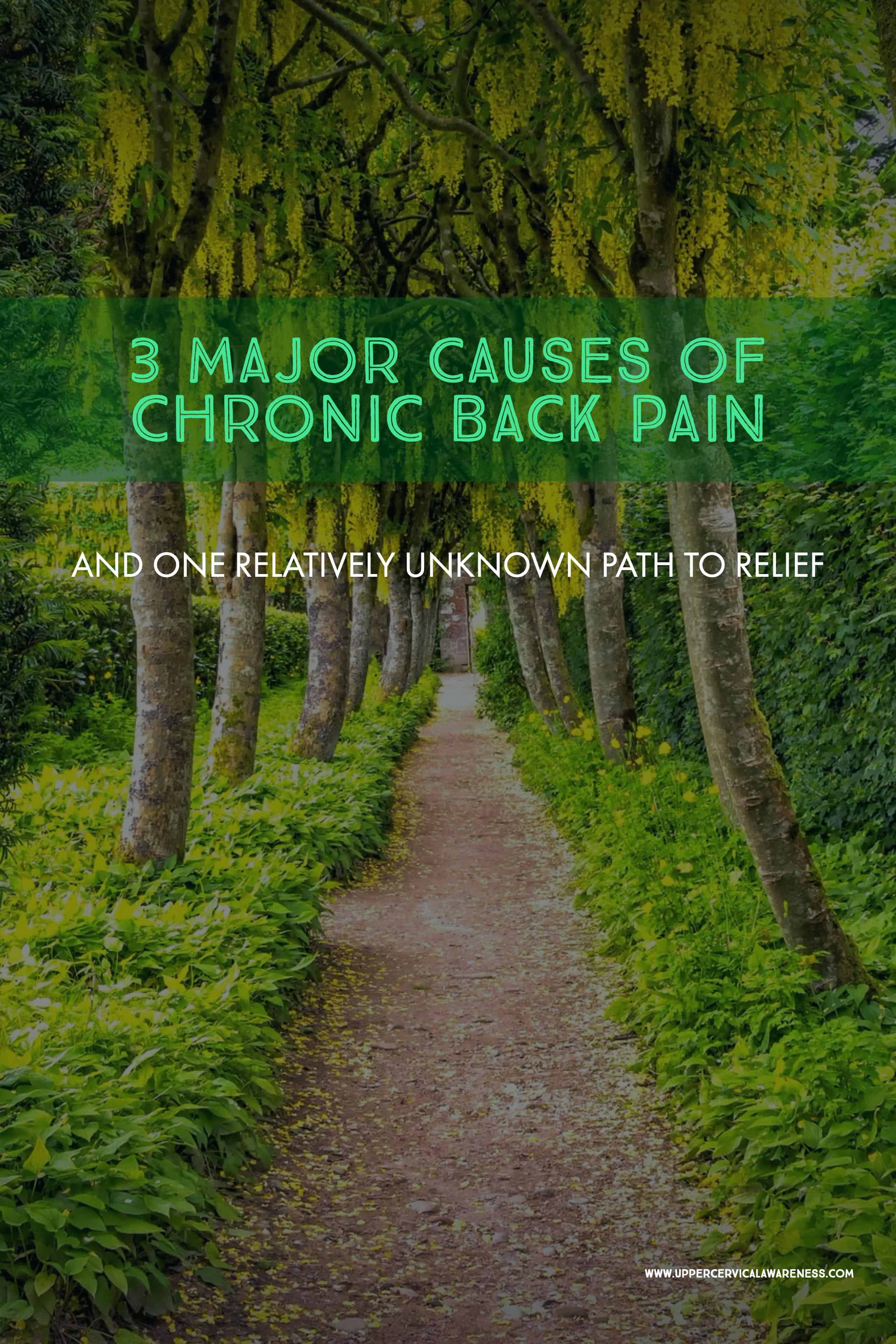 ower Back Pain, Lower Back, Back Pain, Back Ache, Pinched Nerve