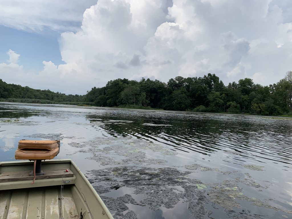 Bostwick Lake Upper Deerfield Township