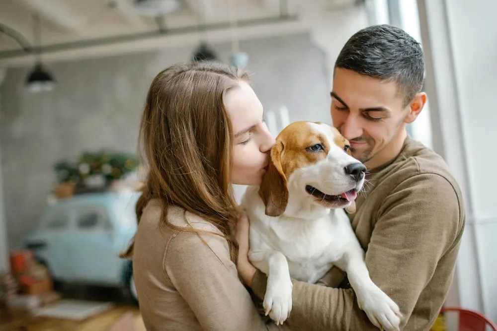 Top Dog Insurance Companies Buying Guide 2022 Edition