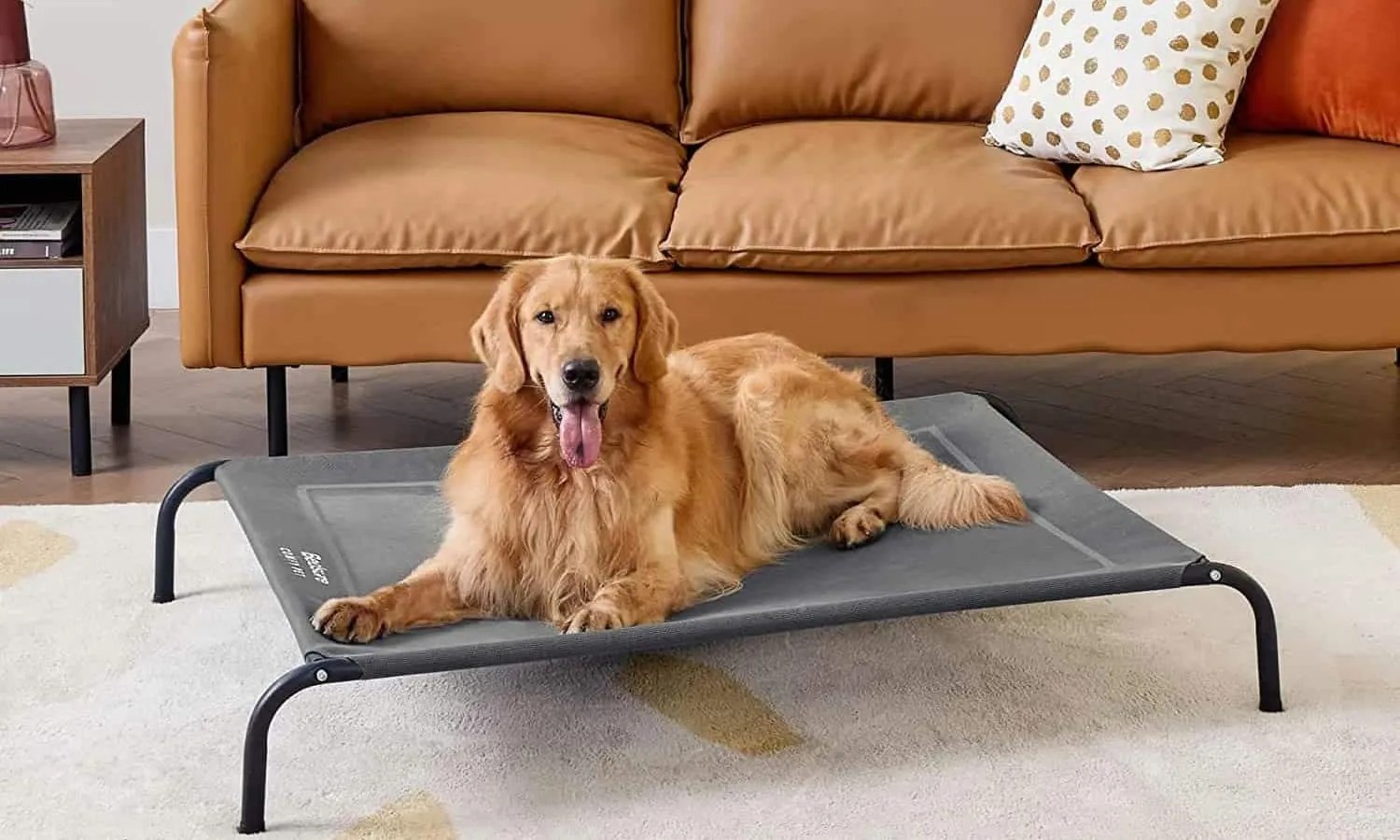 Bedsure Outdoor Elevated Dog Bed Review The Upper Pawside