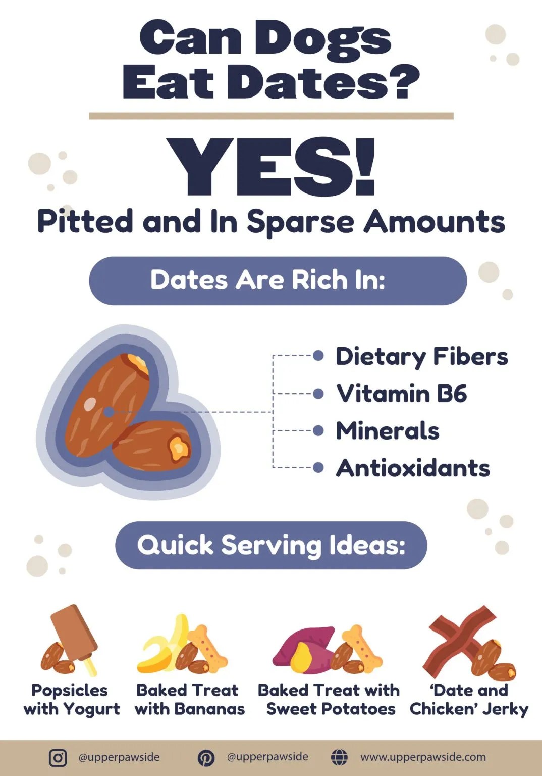 Can Dogs Eat Dates Everything You Need To Know