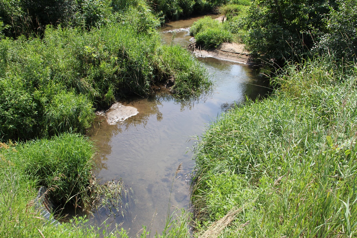 Watsons CreekWapsipinicon River Upper Wapsi River Watershed