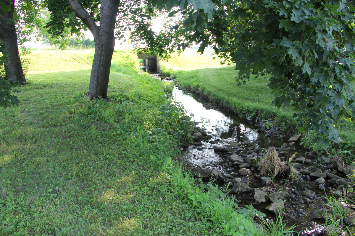 Spring BranchLittle Wapsipinicon River Upper Wapsi River Watershed