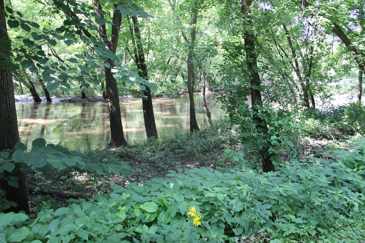 Etter CreekWapsipinicon River Upper Wapsi River Watershed