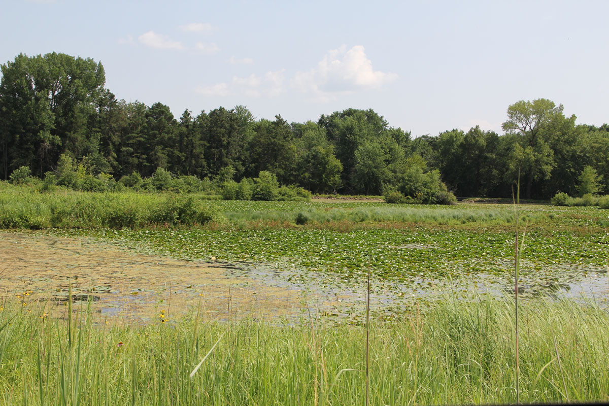 Village of TripoliWapsipinicon River Upper Wapsi River Watershed