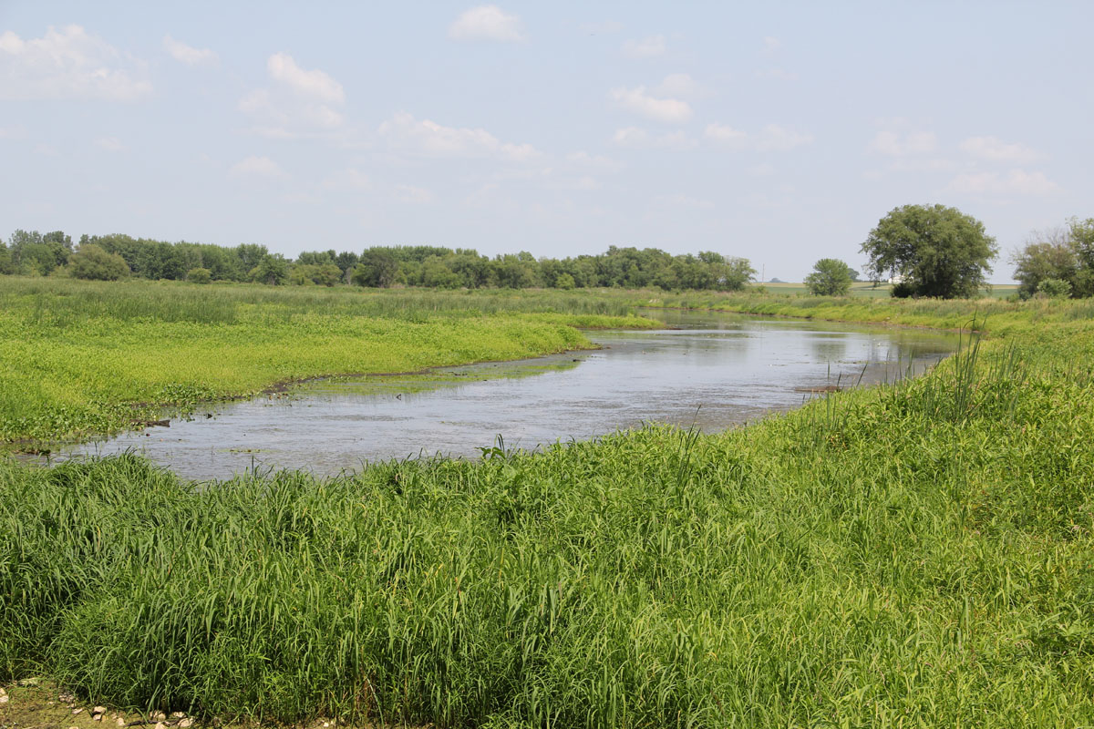Lower East BranchWapsipinicon River Upper Wapsi River Watershed