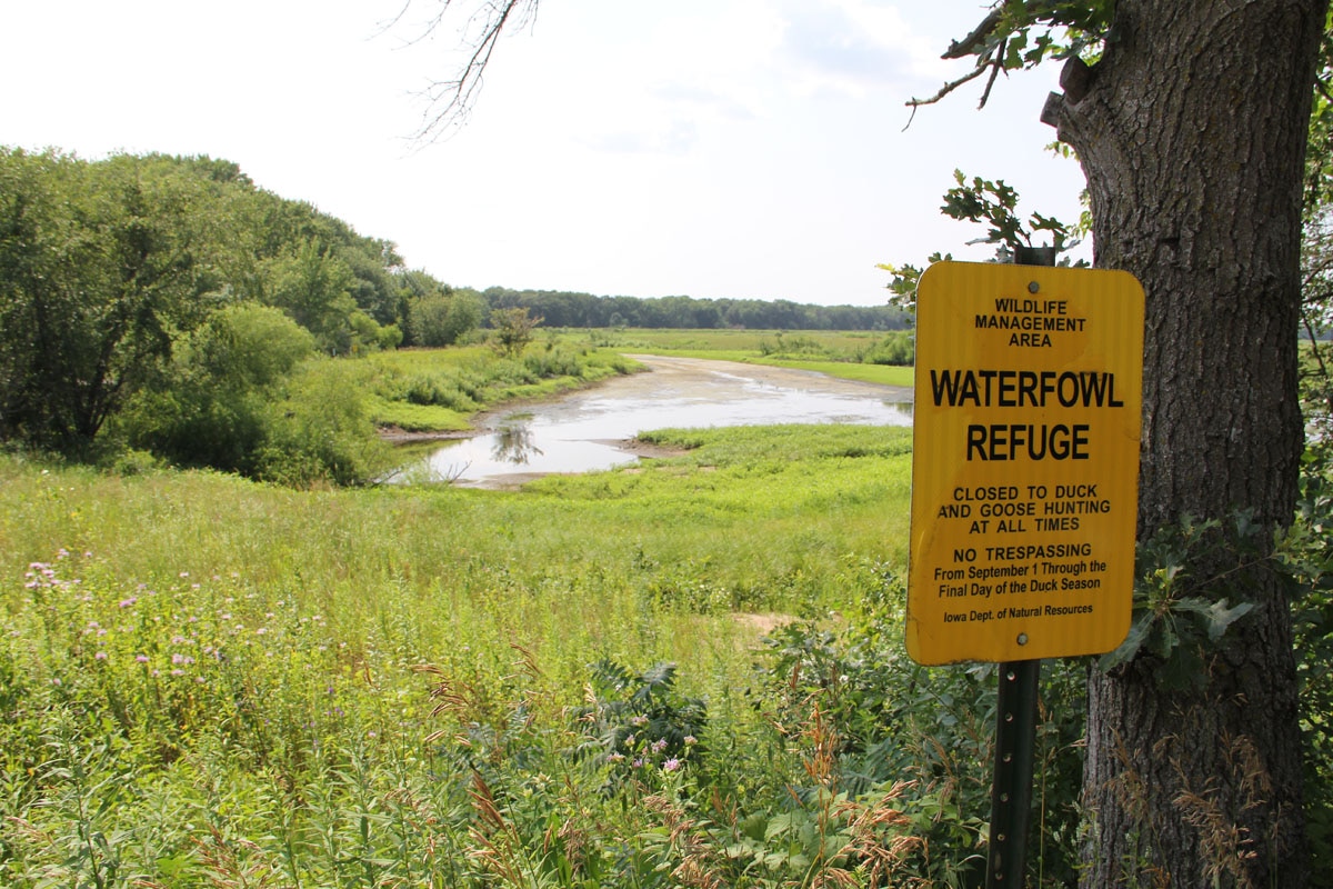 Lower East BranchWapsipinicon River Upper Wapsi River Watershed