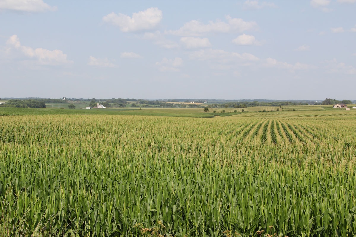 Spring CreekLittle Wapsipinicon River Upper Wapsi River Watershed